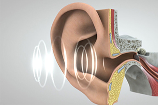 Image result for how sound travels through the ear