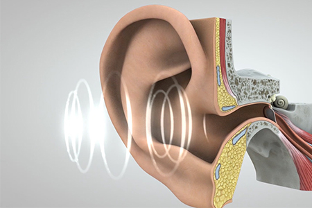 Screenshot of an ear from video illustrating how sounds travel from the ear to the brain, where they are interpreted and understood.