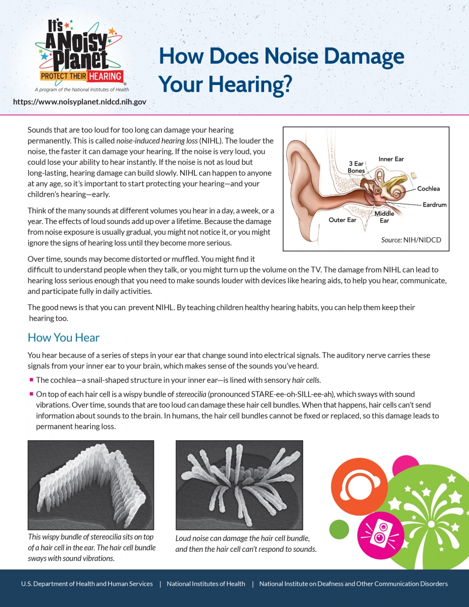 How Does Noise Damage Your Hearing? facsheet