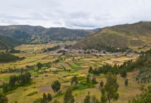 the Andes, the habitat of the Plain-tailed wren