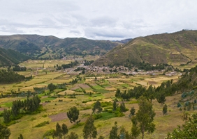 the Andes, the habitat of the Plain-tailed wren