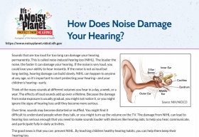 How does noise damage your hearing? factsheet
