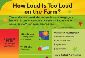Poster titled How Loud Is Too Loud on the Farm?